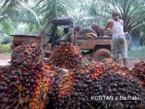 Produktivitas kebun dan harga CPO topang AALI