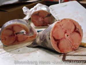 Peluang Pemasaran Produk Ikan di Eropa Terbuka Lebar