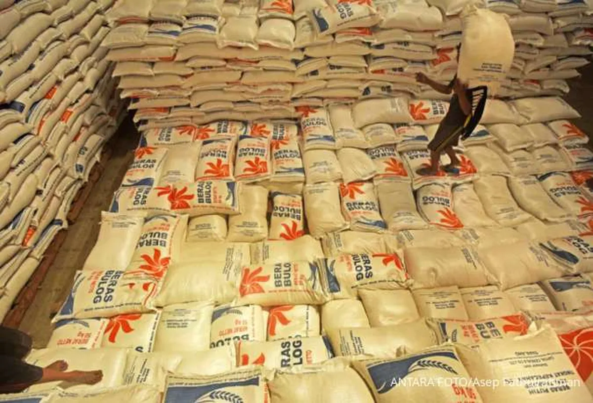 Harga Beras Operasi Pasar Bulog Naik Jadi Rp 54.500 Per 5 Kilogram
