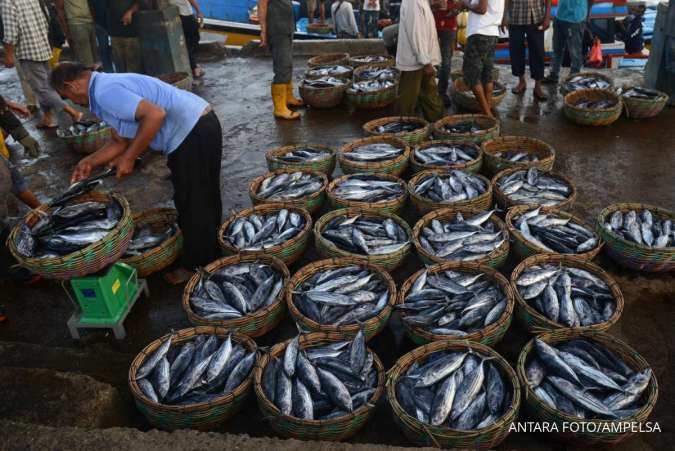 Harga Pangan di Aceh: Cabai Merah Keriting dan Ikan Tongkol Naik, Selasa (19/11)