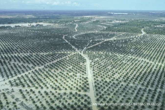 Kemenkes Pastikan Pemulihan RSUD Aceh dan Sumatra Pasca Bencana Terus Dikebut