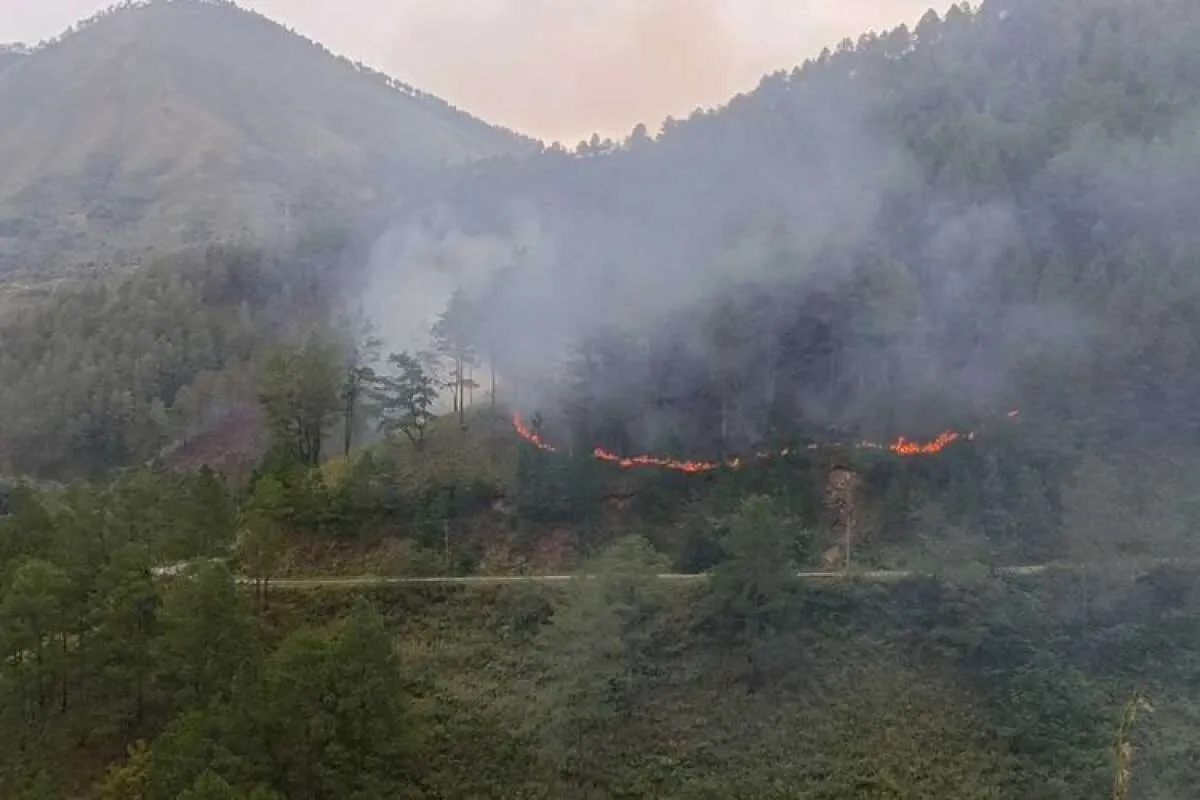 100 Hektar Hutan Lindung di Samosir Terbakar, Pemadaman Masih Terus Dilakukan 