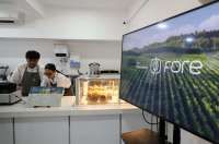 Fore Kopi Indonesia (FORE) Incar Pendapatan Naik 50% pada Tahun 2025