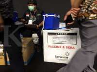 Biofarma belum datangkan vaksin Pfizer dan Moderna, ini hambatannya