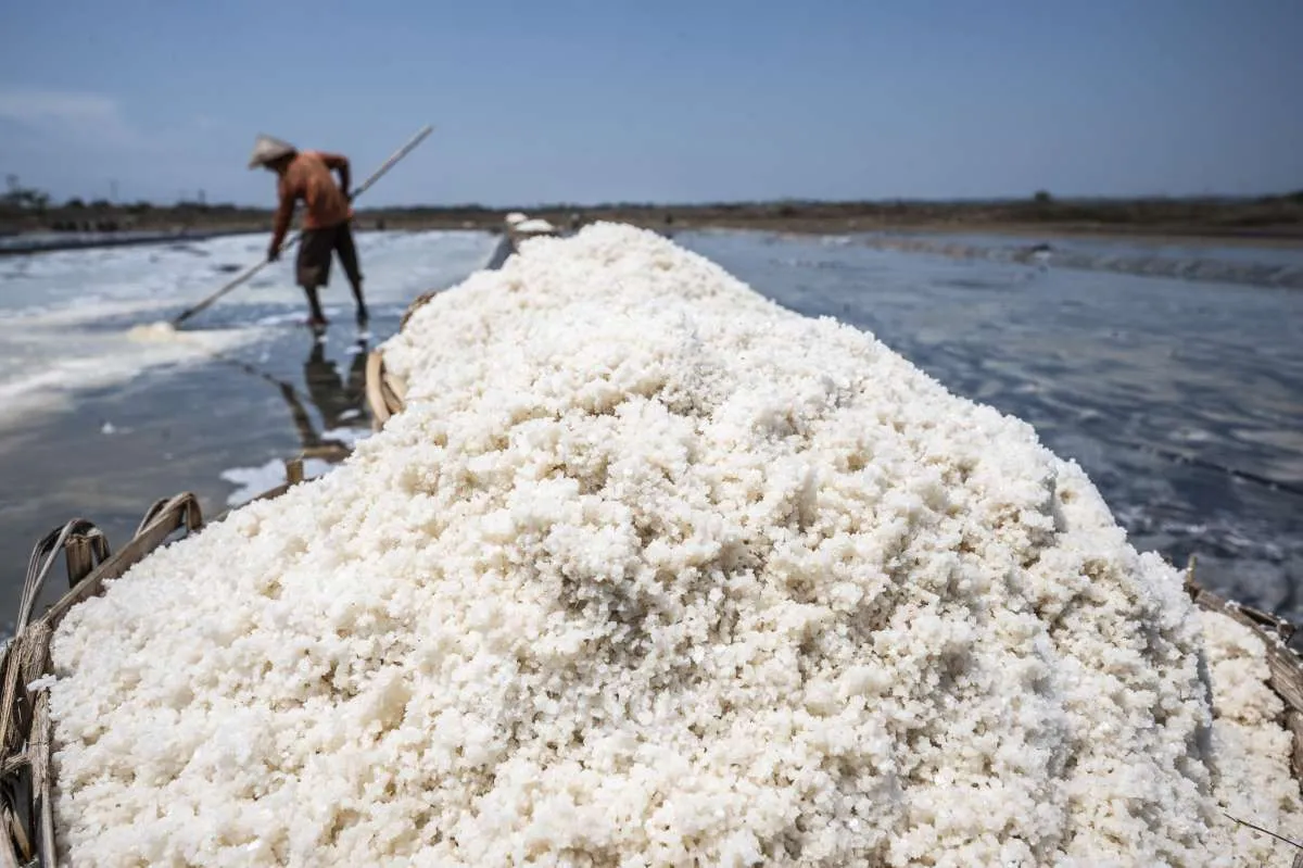 Rencana Penghentian Impor Garam Tahun Depan, Indef Ingatkan Kesiapan Pasokan