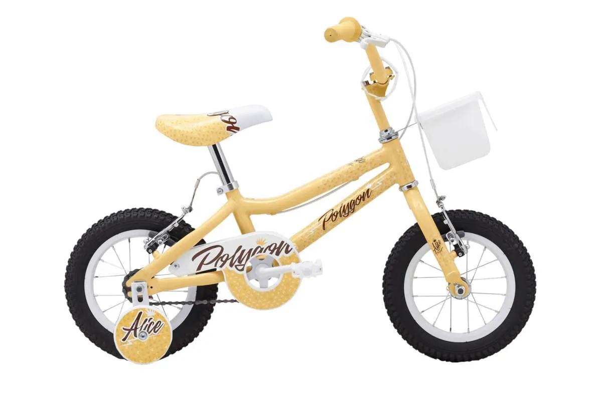 Ini harga sepeda anak Polygon terkini Rp 1 jutaan, mulai Alice hingga Crosser