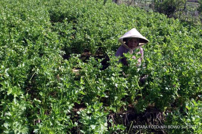 Kementan Genjot Ekonomi Karbon Pertanian, Bidik Dana Hijau Global