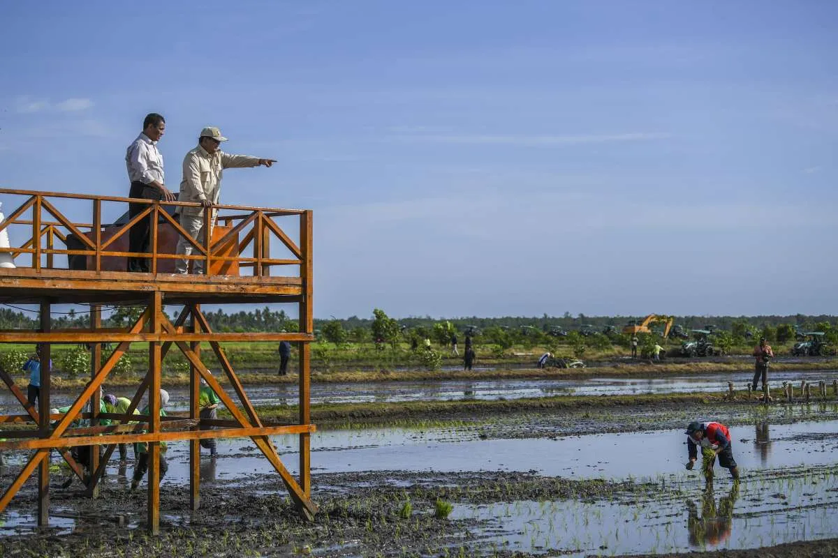 Cermati Prakiraan Cuaca Lengkap di Papua untuk Hari Ini (7/11) dan Besok (8/11)  