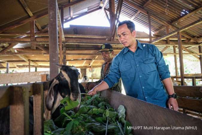 MHU Dorong Ekonomi Sirkular Lewat Peternakan