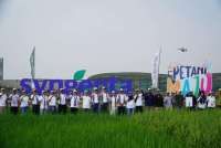 Syngenta Indonesia Selenggarakan Festival Padi Petani MAJU 2026