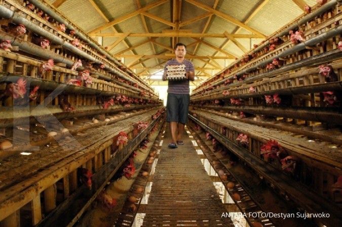 Pinsar: Kenaikan harga batas bawah telur dan daging ayam berikan kepastian berusaha