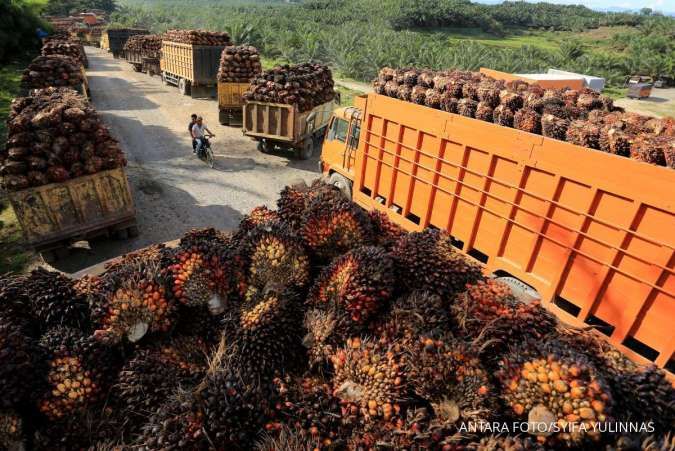 Indonesia's 2022 Palm Oil Exports Seen Below 2021's 34 mln T -GAPKI
