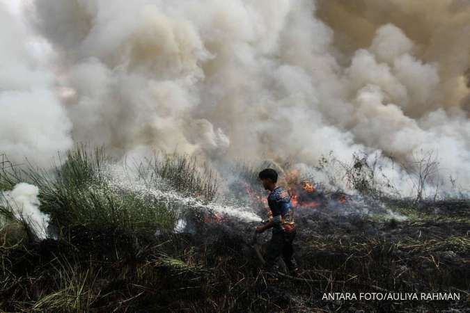 Karhutla Tembus 107.000 Hektare, Pengamat: Produksi Pangan Tertekan