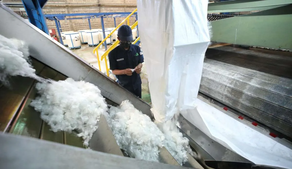 Prospek Bisnis Daur Ulang Plastik Inocycle Technology (INOV) Masih Positif