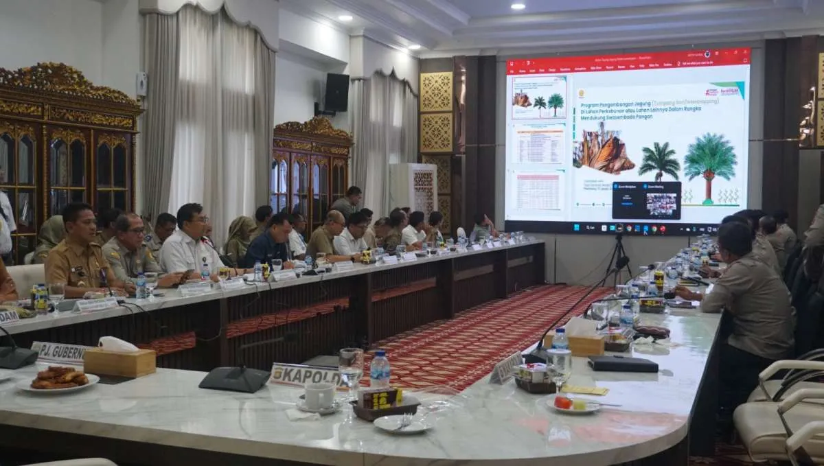 Kementerian Pertanian Dorong Pengembangan Jagung di SumSel lewat Program TumpangSisip