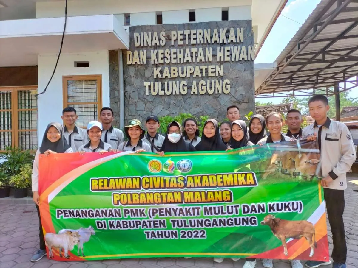 Tangani PMK di Tulungagung, Polbangtan Malang Turunkan Tim Relawan