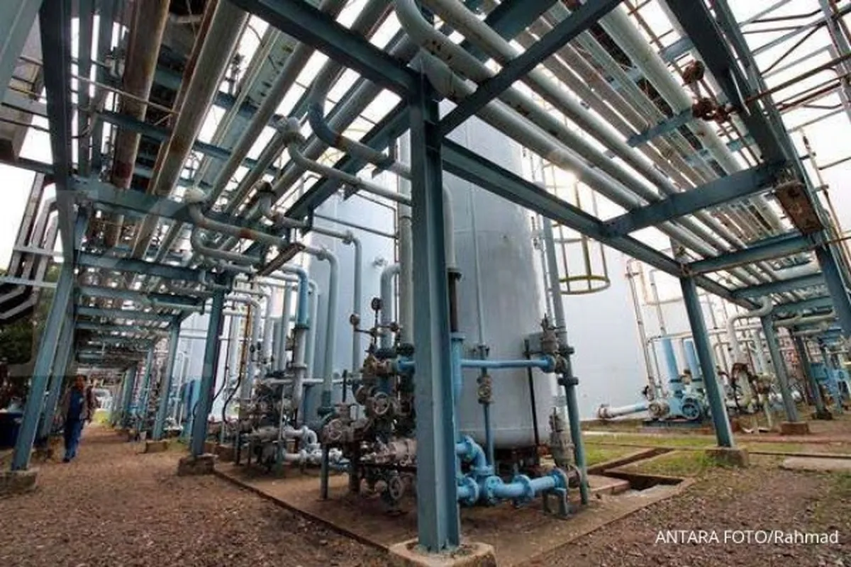 Jokowi Kembali Bubarkan 2 BUMN, Apa Saja?