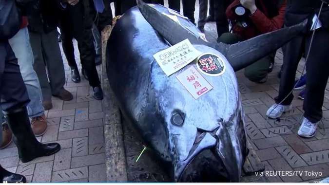 Rekor! Seekor Tuna Sirip Biru Terjual Seharga Rp 12,25 miliar pada Lelang di Tokyo