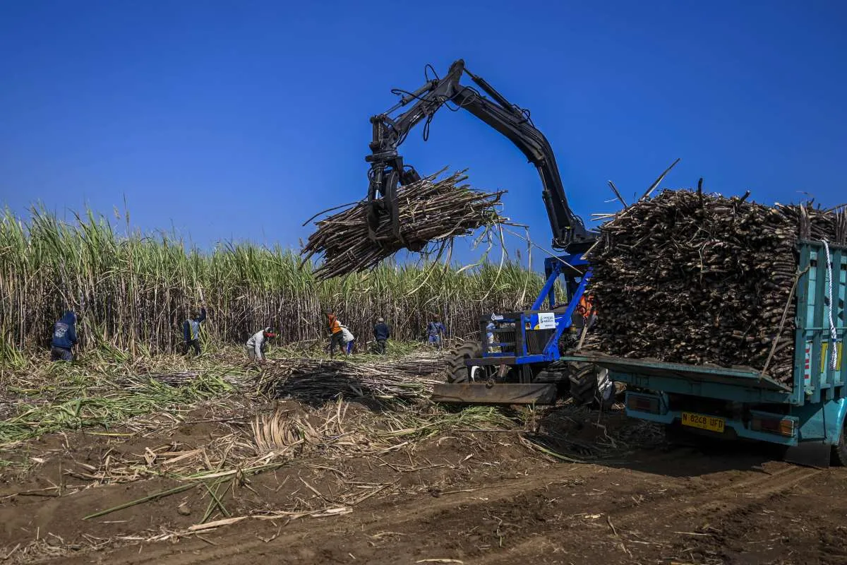 Harga Indeks Pasar Bioetanol Ditetapkan Rp 11.695 per Liter pada Agustus 2026