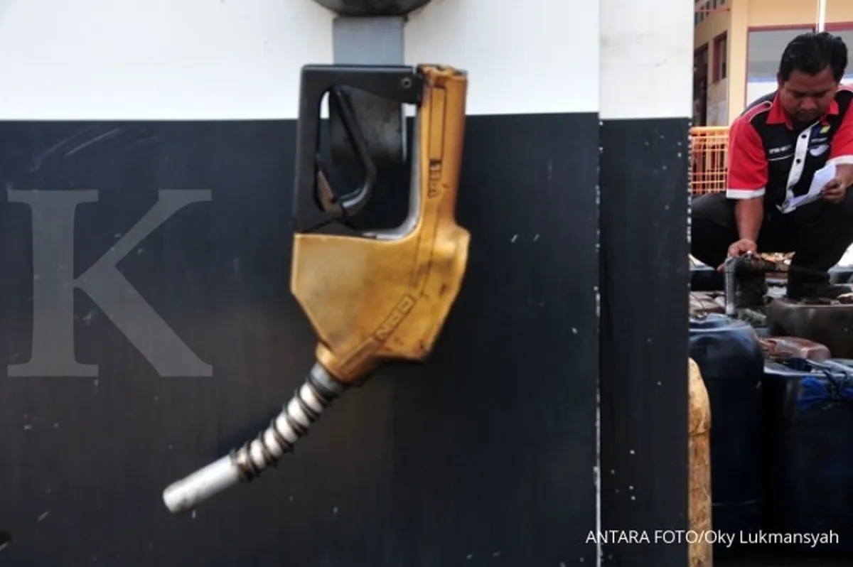 Ongkos angkutan di Bone naik hingga Rp 20.000