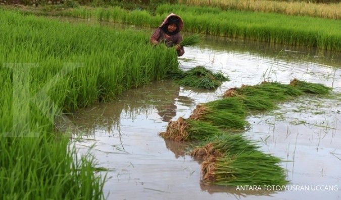 Jokowi minta Sulsel kembangkan sektor pertanian