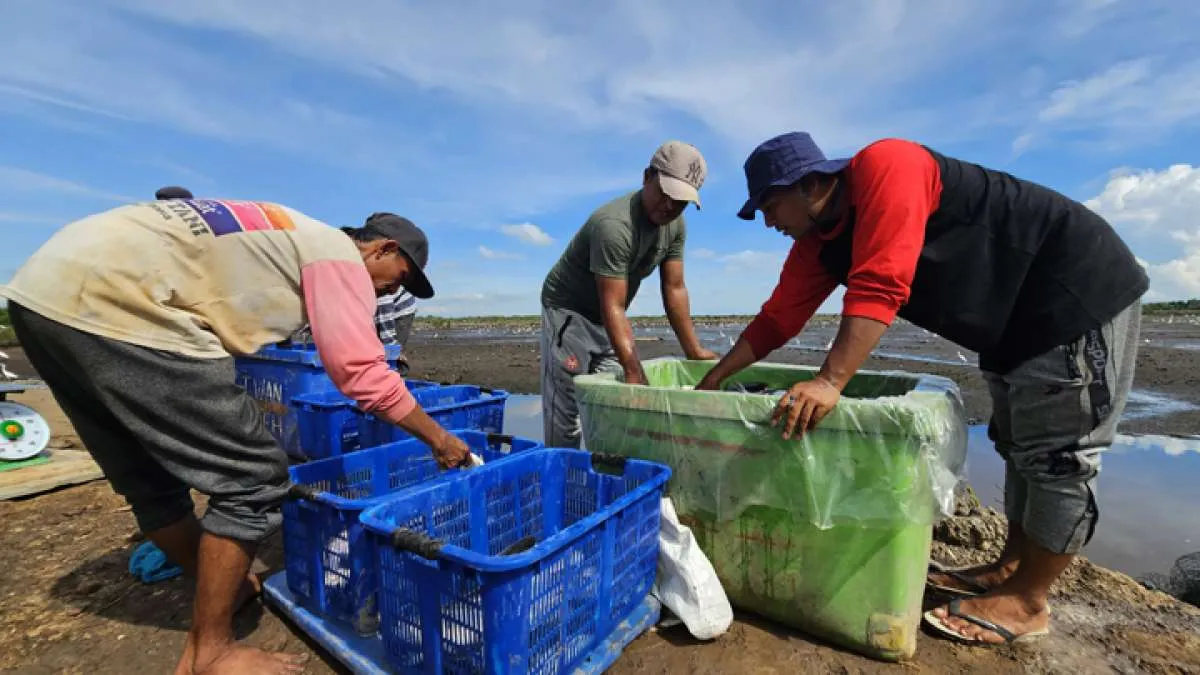 Prakiraan Cuaca Aceh: Waspada Hujan Ringan di 6 Kabupaten Senin (9/3)