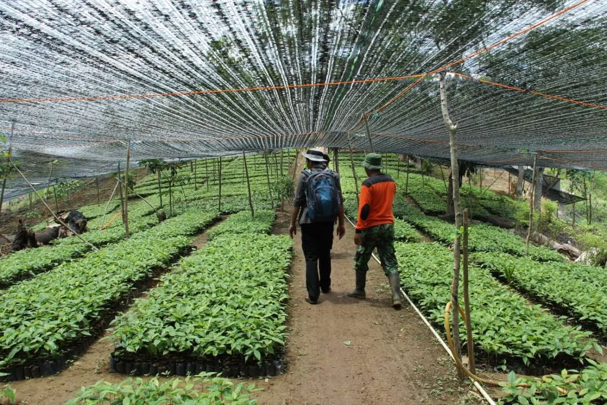 Tunas Inti Abadi Dorong Pemulihan Ekosistem Secara Inklusif