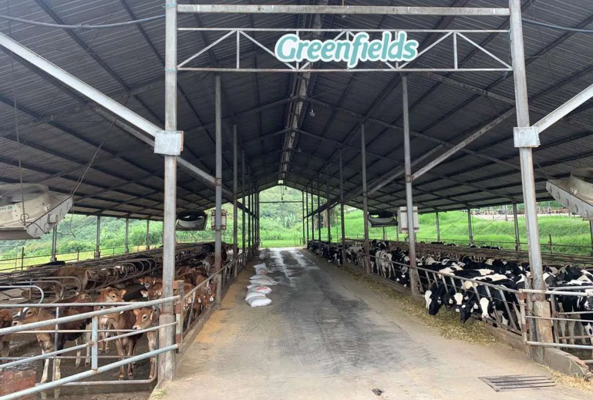 Produsen Susu Greenfields Bidik Pertumbuhan Kinerja Hingga 20% di Tahun 2023