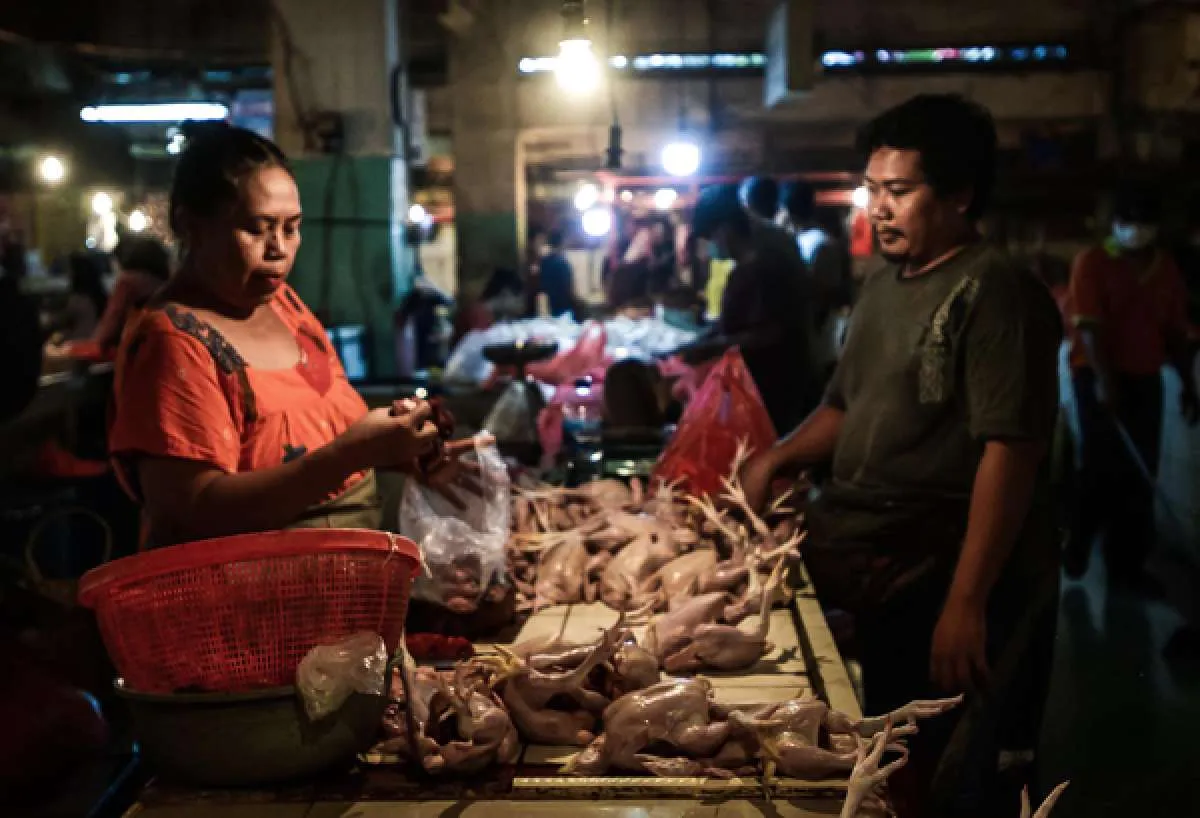Harga Pangan di Jawa Timur, 28 Oktober 2024: Harga Daging Ayam, Jagung, & Beras Naik