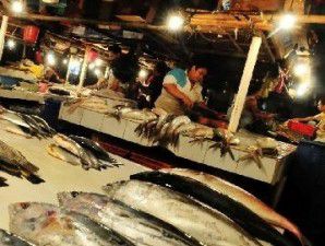 Jepara targetkan produksi budidaya ikan air tawar meningkat 337 % di 2014