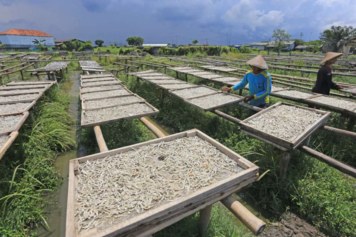 Potongan Subsidi Diperpanjang, Bankir Optimalkan Bisnis KUR di 2022