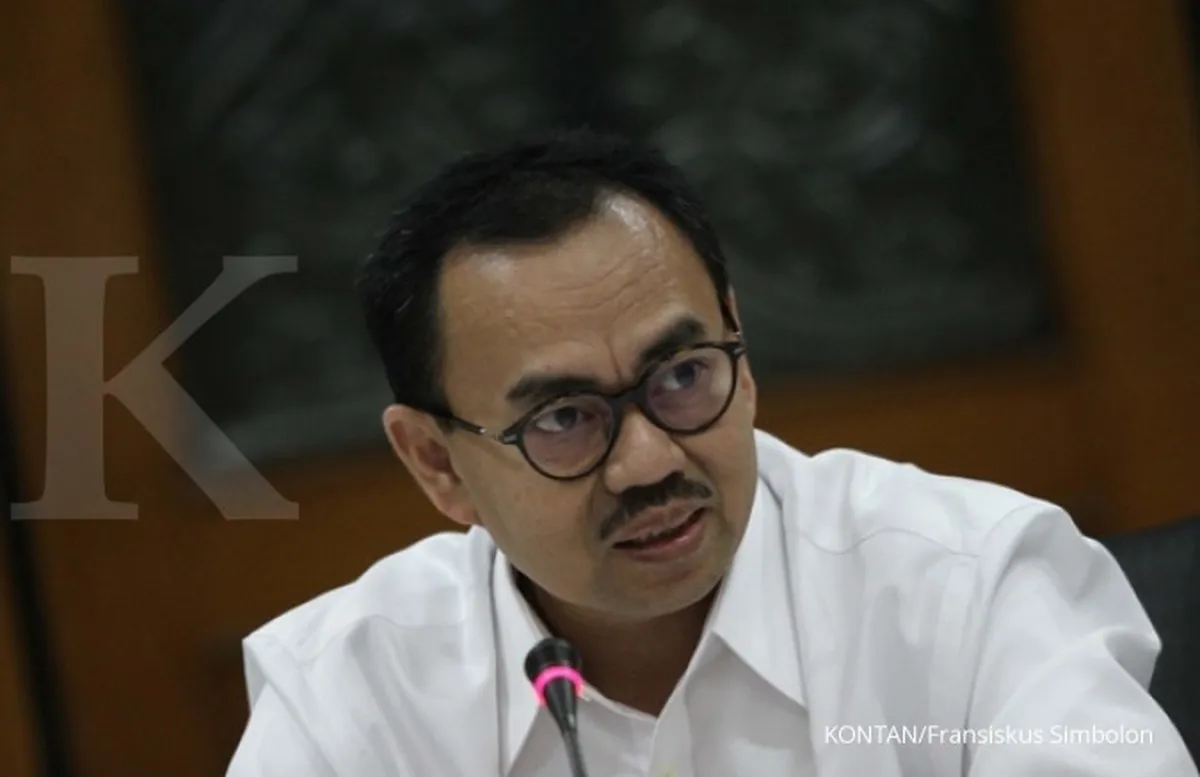 Menteri ESDM: kami hanya ingin mencatat DHE