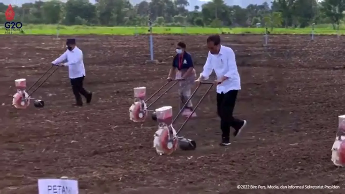 Pengamat: Food Estate Perlu Perhatikan 4 Pilar Pengembangan Pertanian Skala Luas