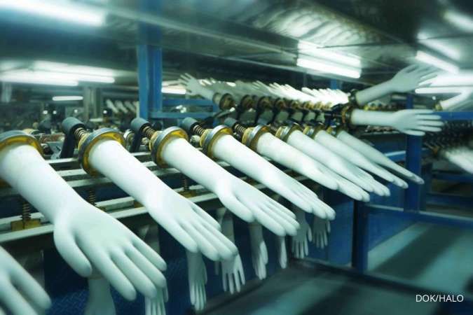 Halo Jane (HALO) Bidik Pertumbuhan Dobel Digit