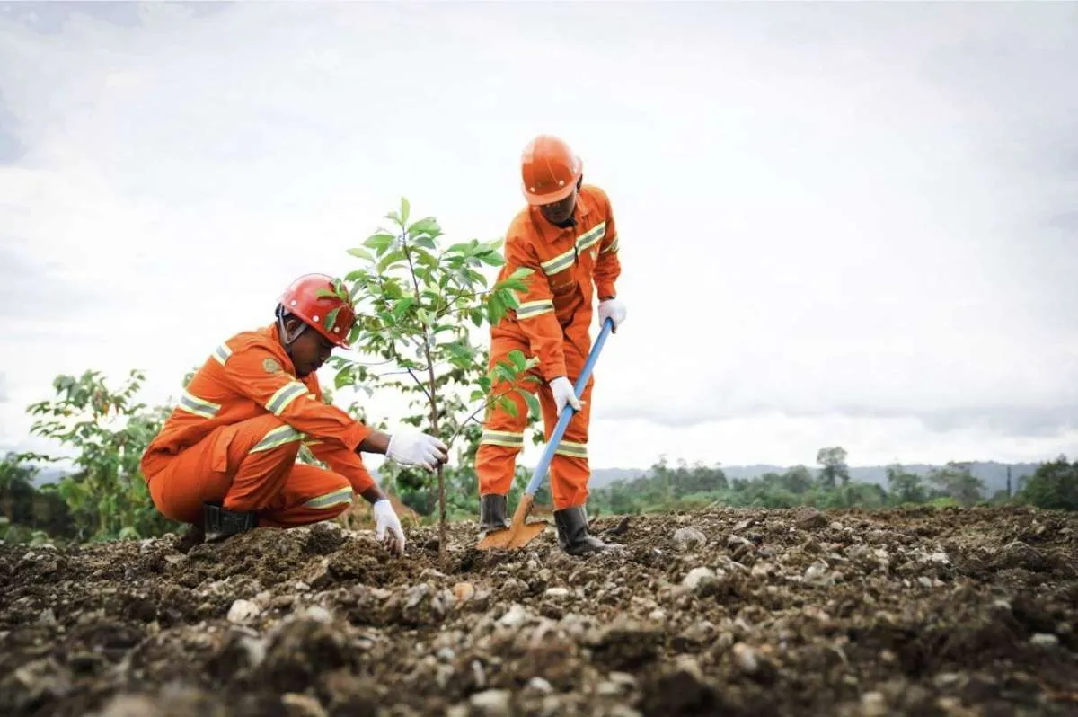 Tambang Berkelanjutan, Weda Bay Nickel Reklamasi 84,86 Hektare Lahan Bekas Tambang