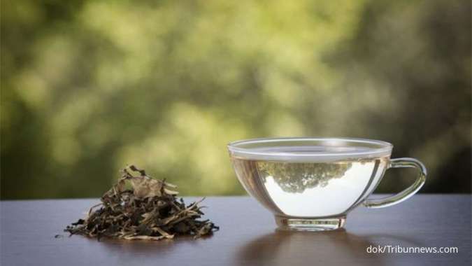 Bikin Awet Muda sampai Menjaga Kesehatan Ginjal, 11 Manfaat teh Putih 