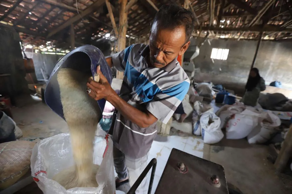 Imbas El Nino, Produksi Beras di Indonesia Pada 2024 Turun Jadi 30,62 Juta Ton