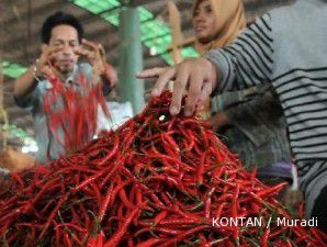 BPS dan kementerian pertanian kaji gejolak harga cabai