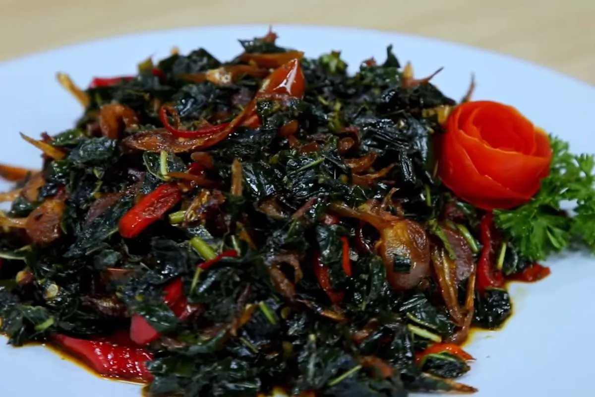 Manfaat Daun Pepaya untuk Kesehatan, Simak Cara Merebus Daun Pepaya Tidak Pahit