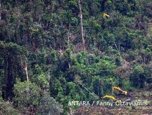 Izin hak pengusahaan hutan alam disetop