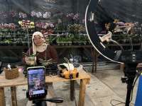 Muncul Wacana Marketplace Jadi Pemungut Pajak, Ini Respon Asosiasi E-Commerce