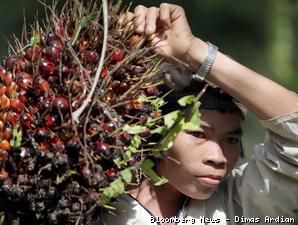 Petani Kelapa Sawit Minta Tambahan Pelabuhan Anyar