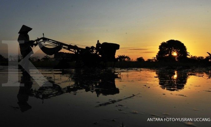 Pemerintah akan membangun food estate