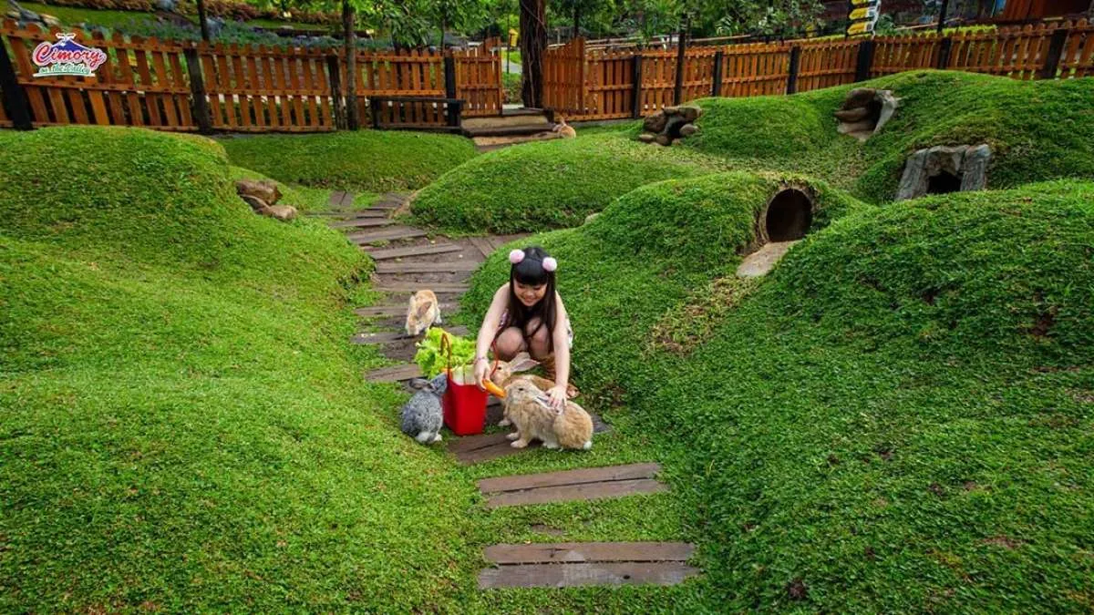  Cimory on the Valley, tempat wisata di Semarang yang punya banyak spot selfie