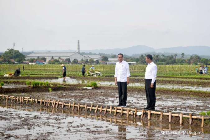 Hujan Mulai Turun, Jokowi Minta Petani Segera Menanam Padi