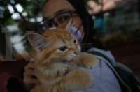 Waspada 5 Gejala Penyakit Rabies Bisa Bermula Dari Sakit Kepala