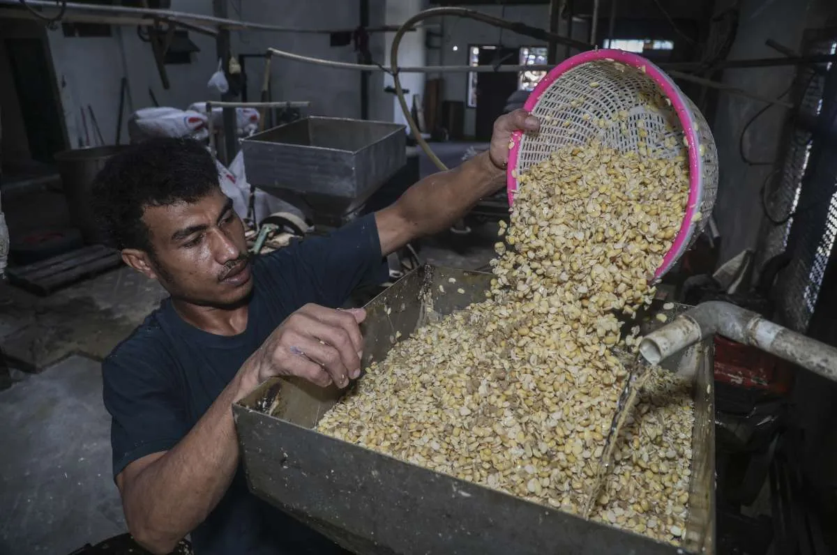 Jaga Harga Kedelai, Amran Beri Karpet Merah BUMN Bisa Impor Kedelai Jika Berminat