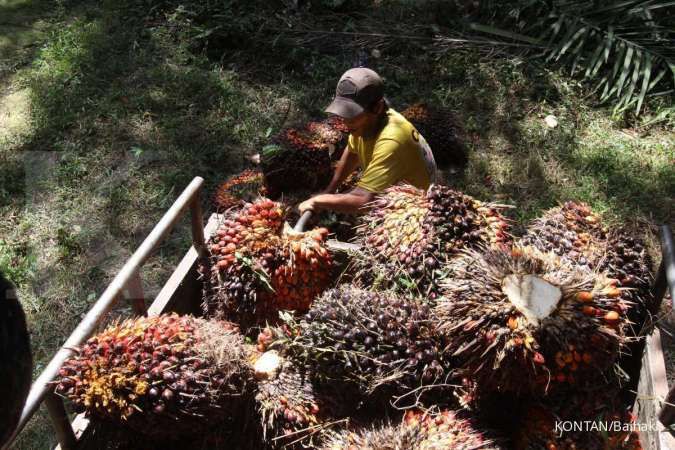 GAPKI: Volume Ekspor RBD Palm Olein Indonesia Mencapai 13,4 Juta Ton di Tahun 2021
