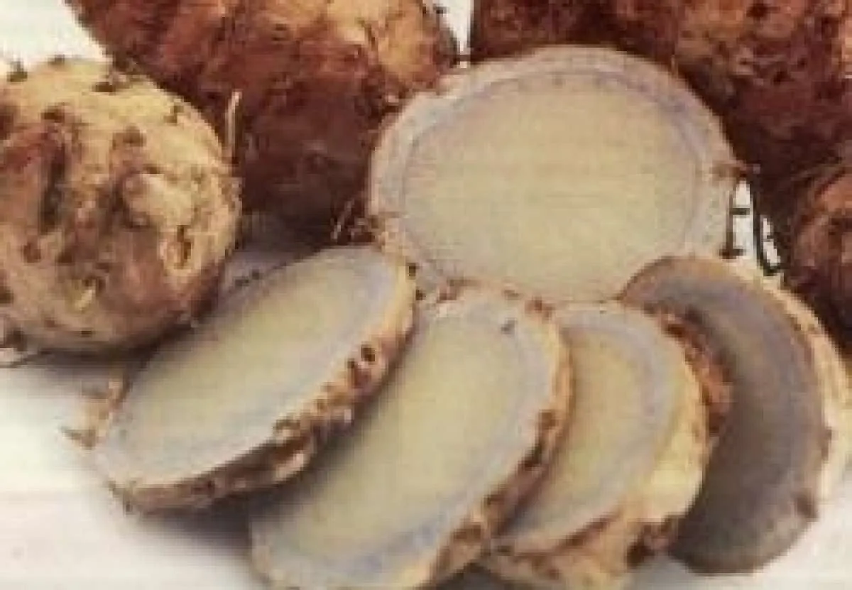 Sederet manfaat temu ireng untuk kesehatan yang jarang diketahui