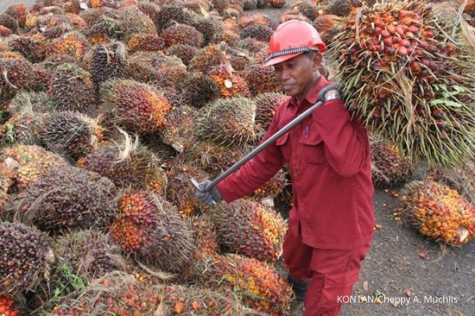 Perusahaan sawit di Riau menghindari pajak